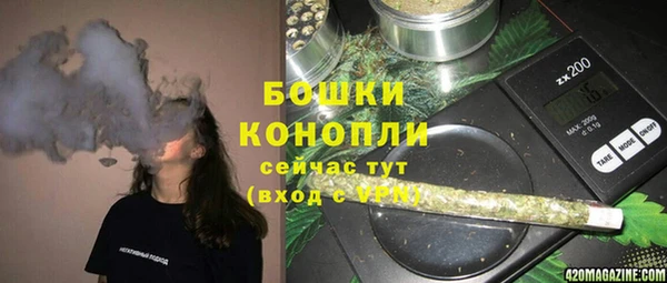 гашик Медногорск