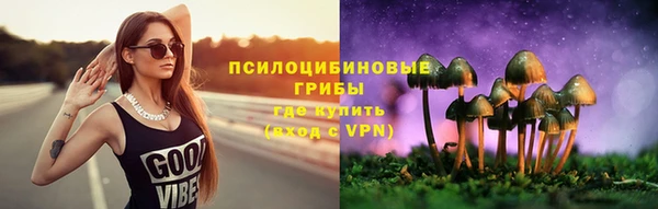 гашик Медногорск