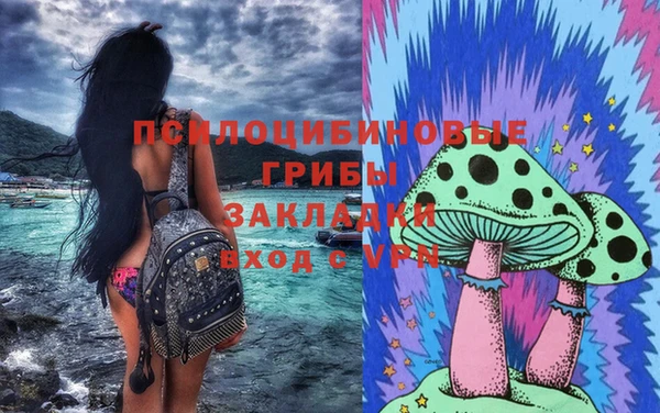 мяу мяу мука Медвежьегорск