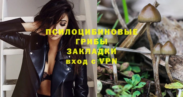 гашик Медногорск