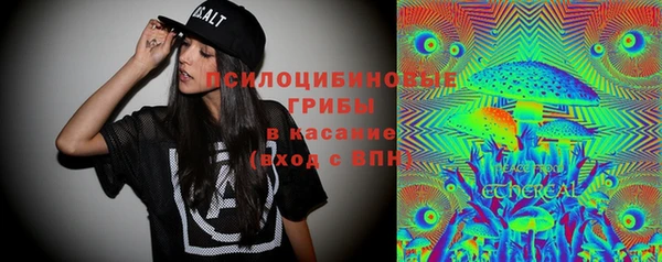 spice Мегион